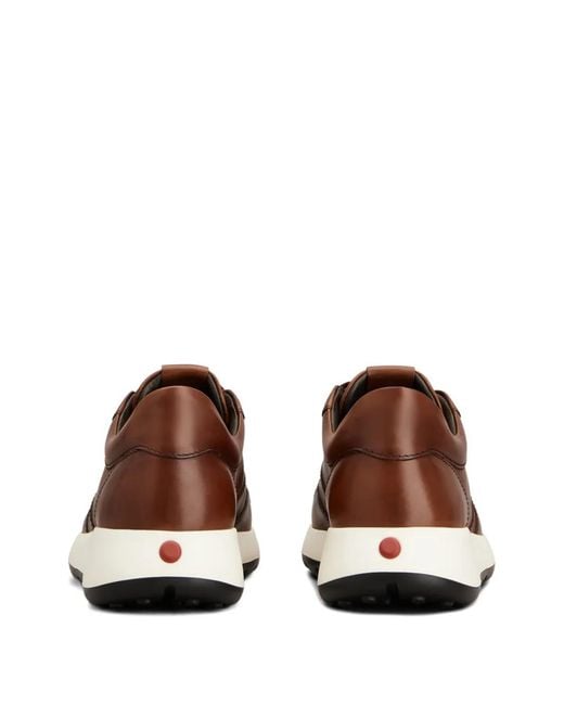 Tod's Brown Elasticated-Lace Sneakers for men