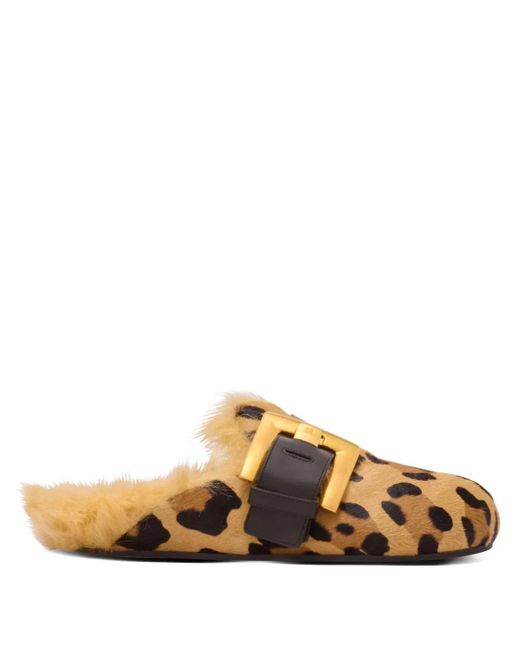 Balmain Brown Anthem Mules