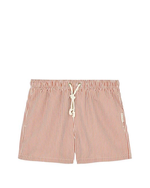 GASSA D'AMANTE Pink Tropea Striped Swim Shorts for men