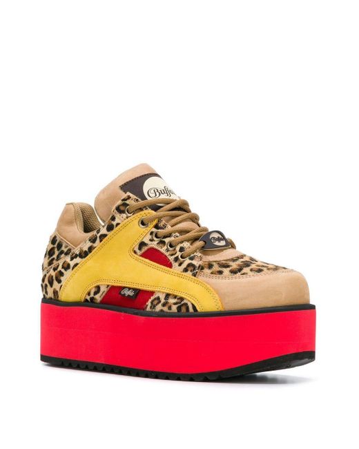 buffalo leopard trainers