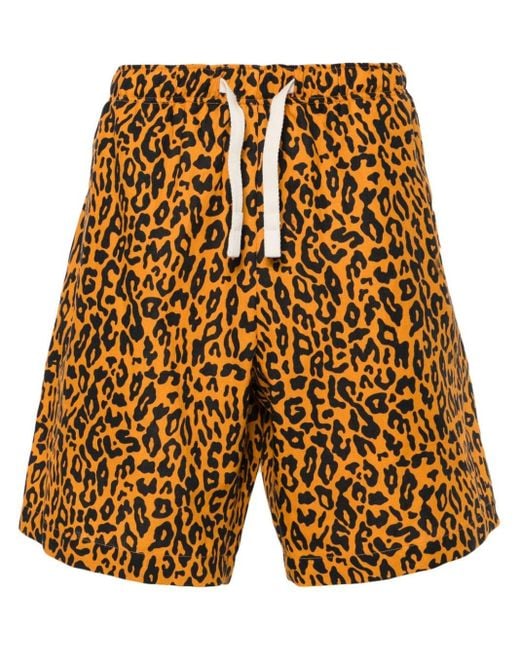 Palm Angels Popeline-Shorts mit Leoparden-Print in Yellow für Herren