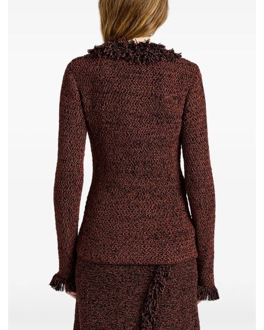 Proenza Schouler Brown Nilo Top