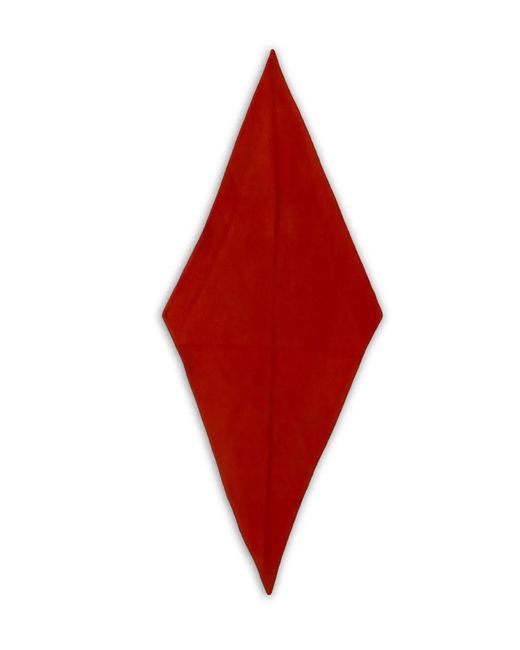 Rier Red Fleece Scarf for men