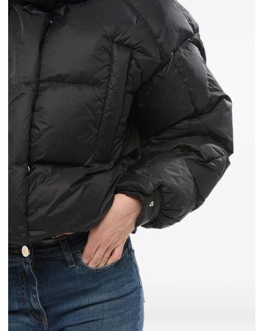 Bacon Black Puffa Ring Quilted Jacket