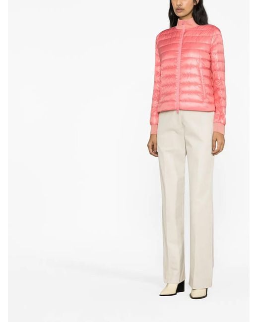 Herno Pink Globe Padded Bomber Jacket