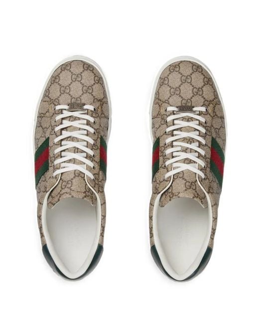 Gucci Natural Ace Web Sneakers for men