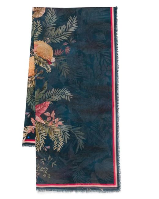 Pareo De Algodón Estampado Zimmermann de color Blue