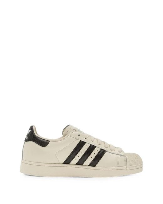 Adidas Natural Superstar Ii Shell-Toe Sneakers