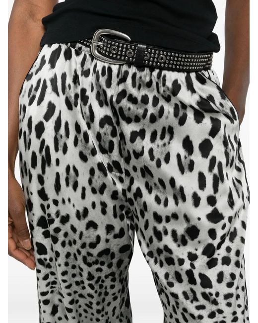 Dolce & Gabbana Multicolor Leopard-Print Straight-Leopard Pants