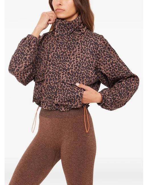 The Upside Brown Ludlow Ace Leopard-Print Jacket