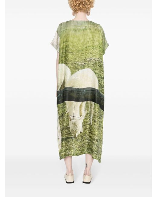 BARBARA BOLOGNA Green Rochie Kleid mit grafischem Print