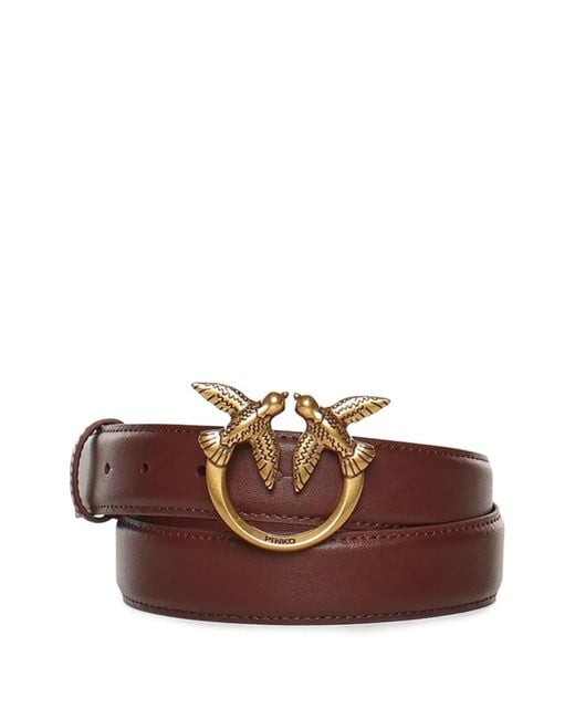 Pinko Riem in het Brown