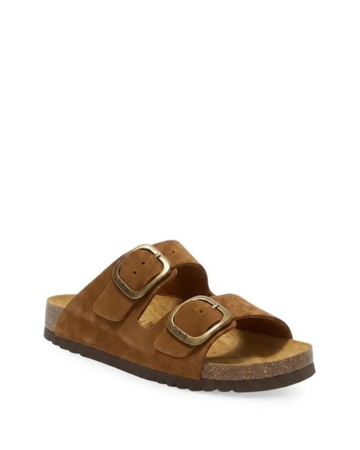 Scholl Brown Sandales À Boucle