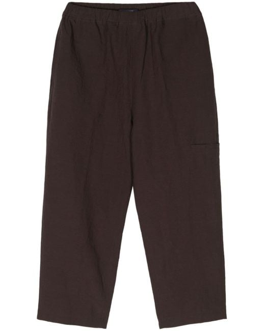 Sofie D'Hoore Blue Pluck Cropped Trousers
