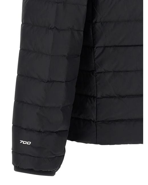 The North Face Blue Classic' Down Jacket for men