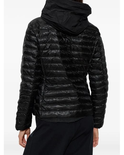 Moose Knuckles Black Doudoune Cloud Walker Air À Capuche