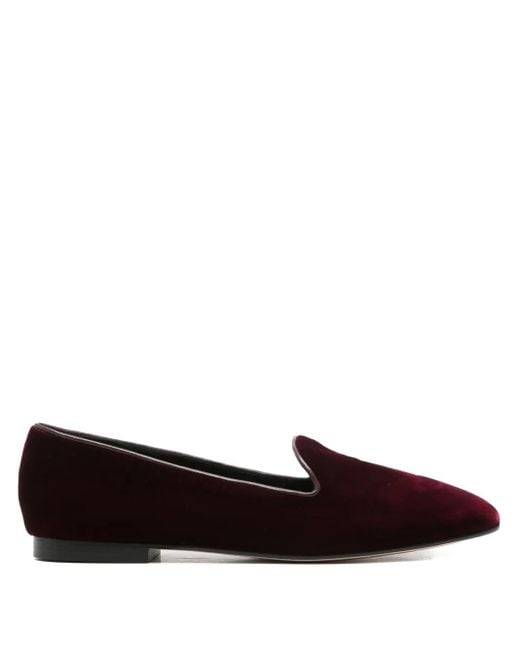 Arteana Brown Velvet-Finish Ballet Flats