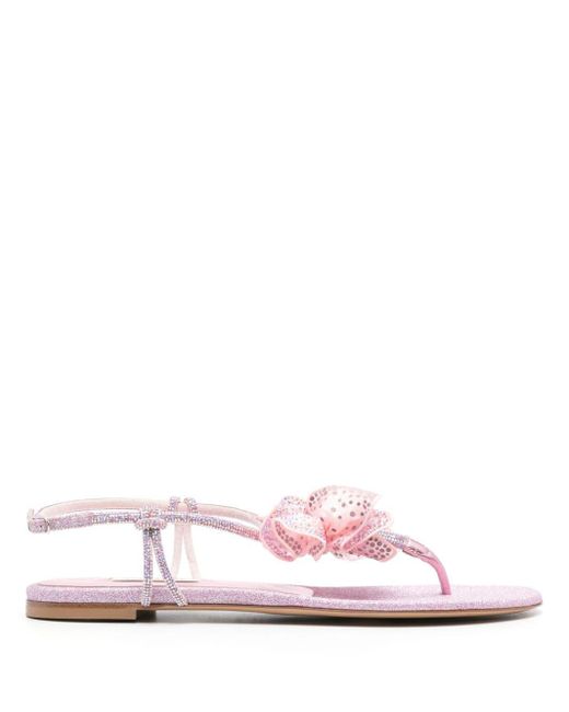 Casadei Pink Ochidea Flat Sandals