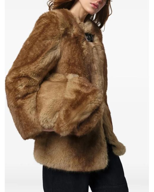 Apparis Brown Petra Single-Breasted Coat