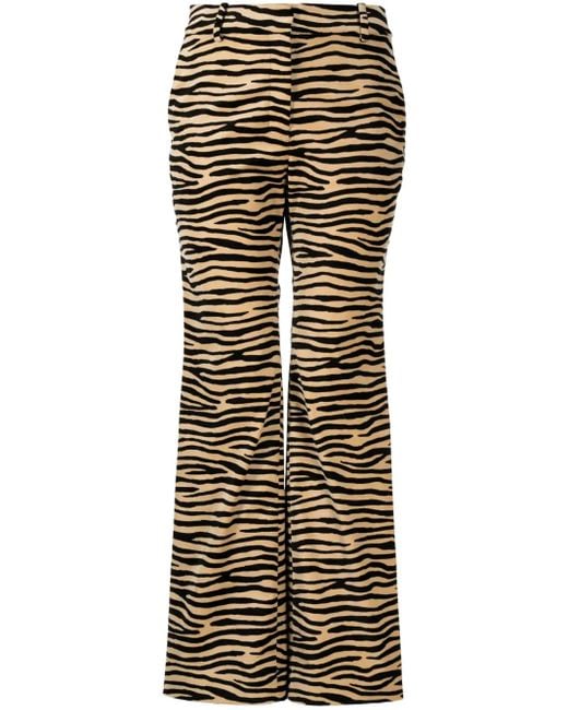 Rabanne Multicolor Tiger-Print Cotton Twill Flared Pants