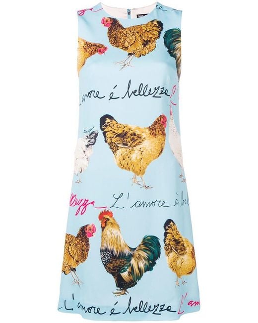 Dolce & Gabbana Blue Chicken Print Dress