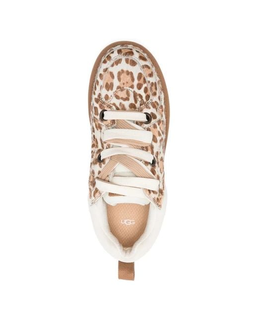 Ugg Brown Sneakers