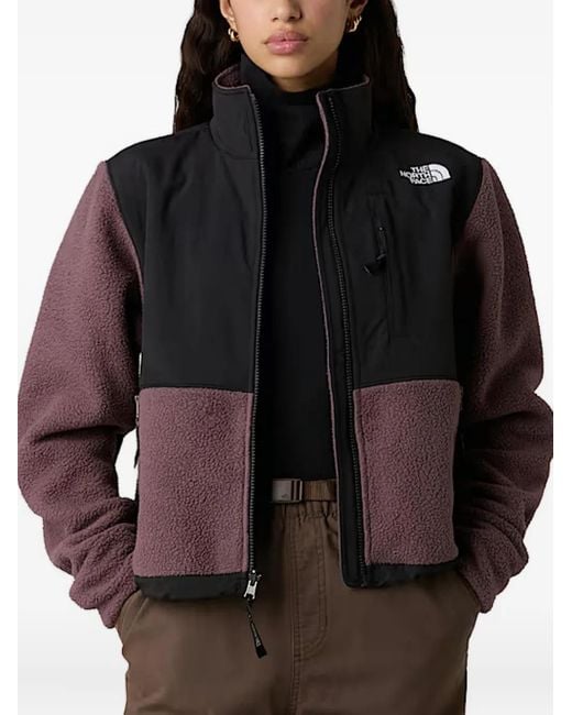 The North Face Brown Retro Denali High-Neck Fleece Jacket