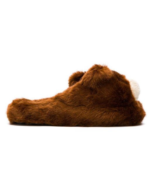 Dolce & Gabbana Brown Teddy Bear Slippers for men
