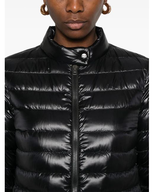 Winter Jackets Herno en coloris Black
