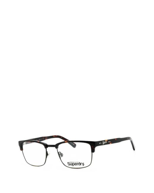 Superdry Brown Buddy Glasses for men