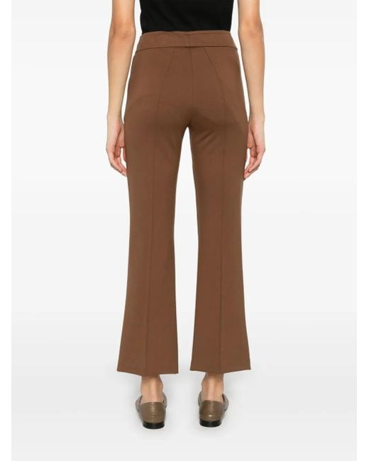 Blanca Vita Brown Flared Trousers