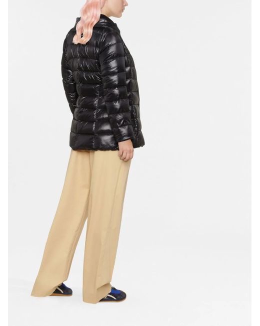 Herno Black Jackets