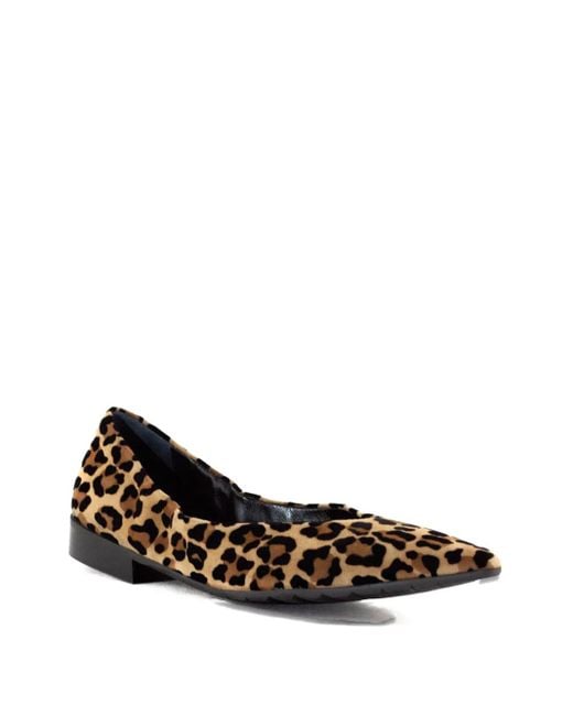 Mara Bini Brown Pointed-Toe Flat Pumps