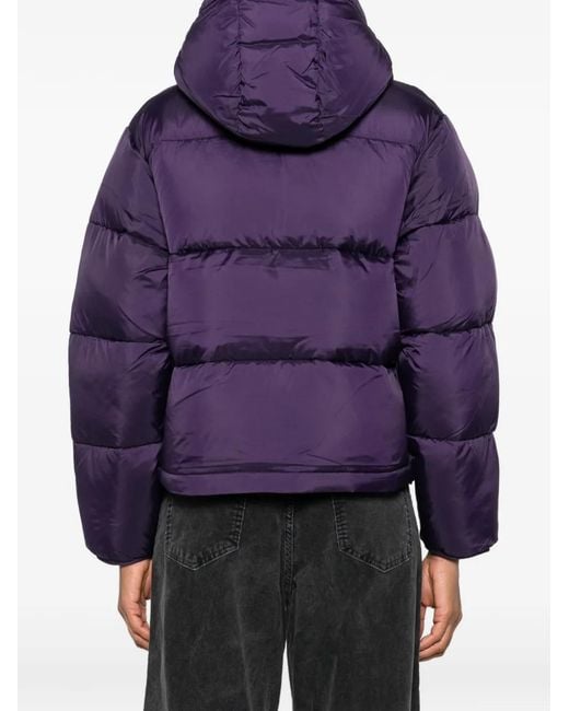 Carhartt Purple Toronto Hooded Puffer Jacket