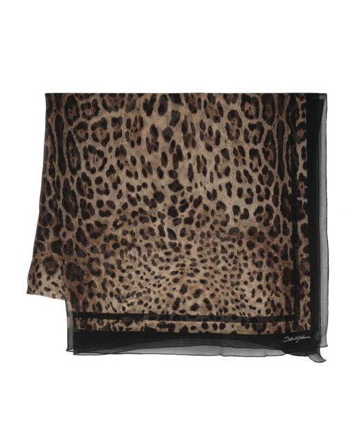 Dolce & Gabbana Brown Leopard-print Rectangle Scarf