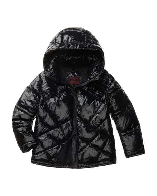 Blauer Black Lowney Hooded Quilted Jacket
