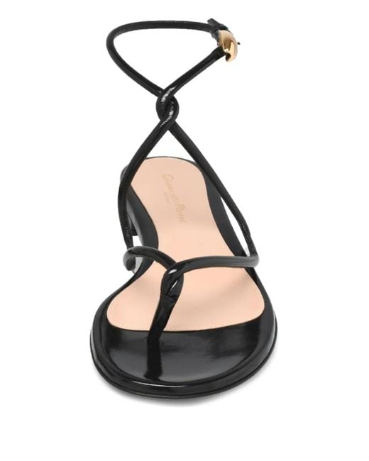 Gianvito Rossi Black Mamba Sandals