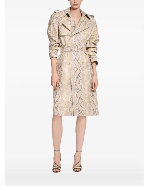 Elie Saab Natural Python-Print Double-Breasted Coat