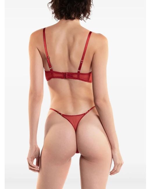 Zhilyova Embroidered Sheer Thong
