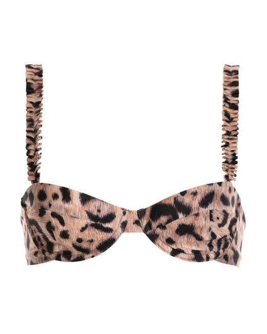 Agua Bendita Brown Leopard-Print Bikini Top