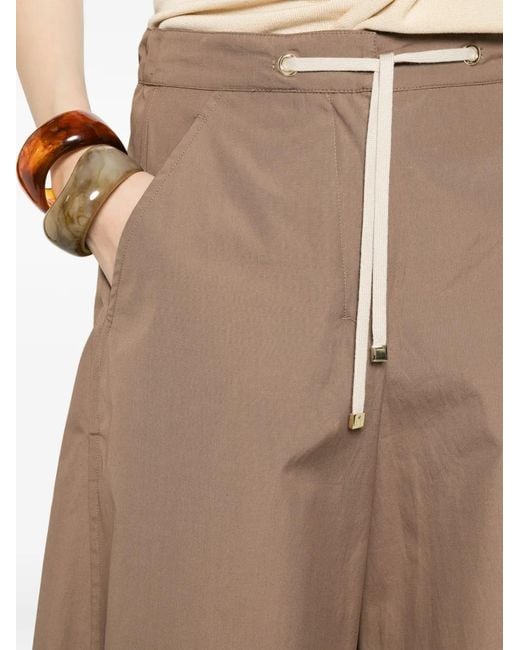 Max Mara Brown Smmgufo