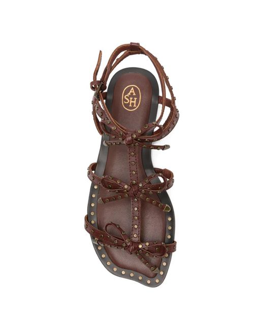 Ash Brown Gladius Studded Bow-Detail Sandals