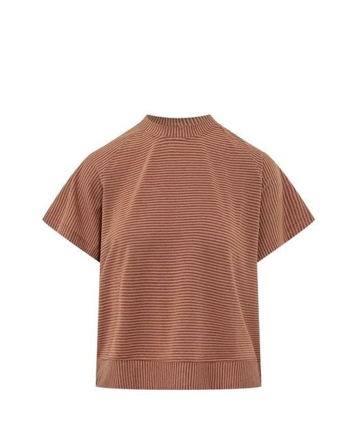Momoní Brown Nashoba Striped T-Shirt