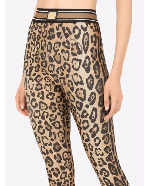 Dolce & Gabbana Natural Leopard-Print Jersey Leggings