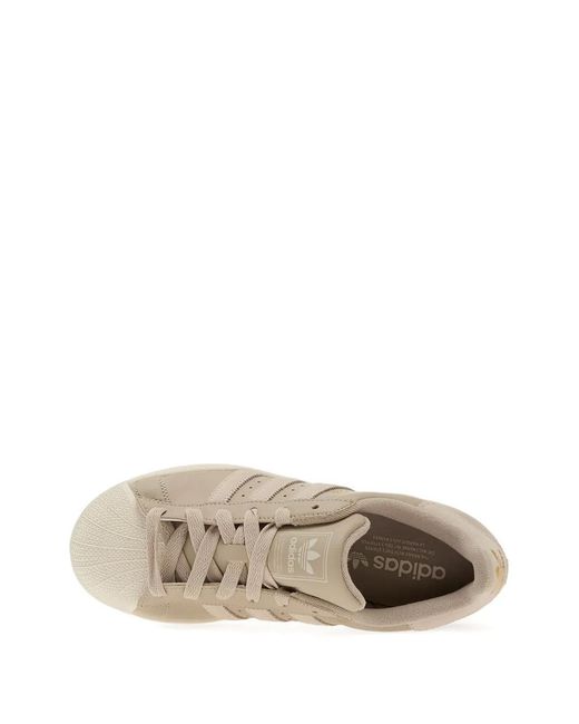 Adidas Natural Superstar Ii Sneakers