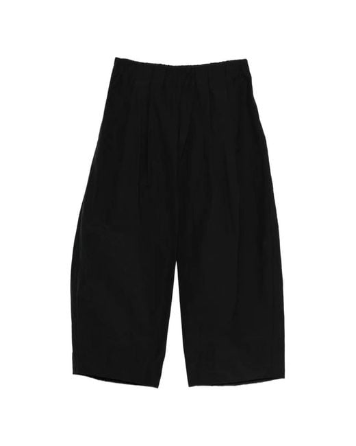 Apuntob Black Pleated Trousers