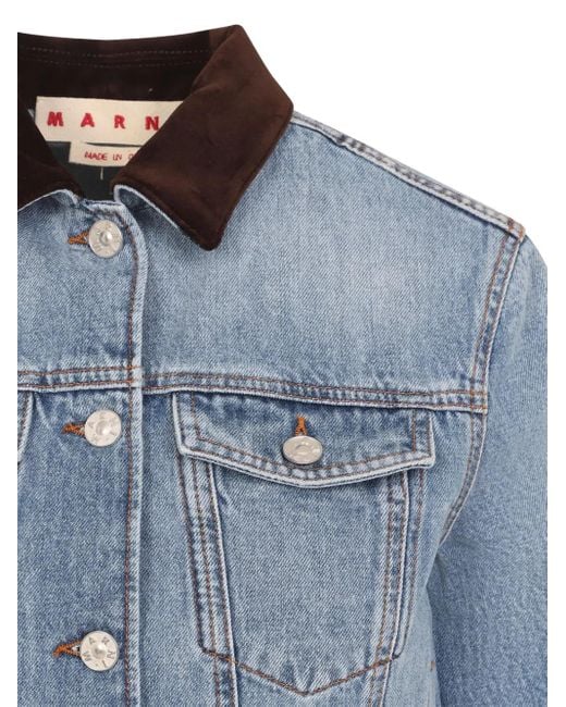 Marni Blue Contrasting-Collar Jacket