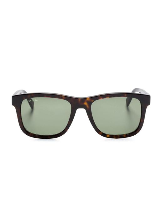Lacoste Brown Wayfarer-frame Sunglasses for men