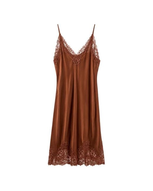 Gold Hawk Brown Coco Bodice Lace-Trim Slip Dress