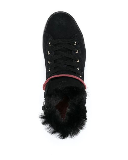 Geox Black Lauressa High-Top Sneakers